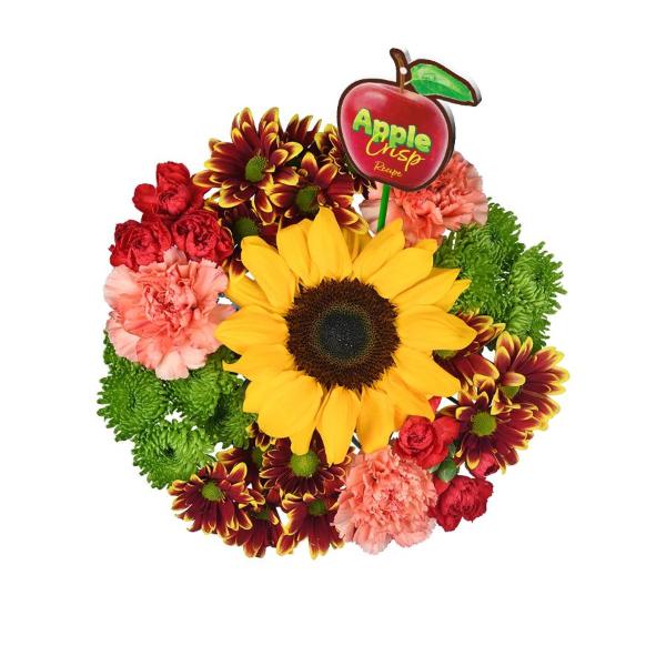 Does Food Lion Carry Flowers Best Flower Site