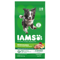IAMS Proactive Health Minichunks Chicken & Whole Grain Adult Dry Dog Food