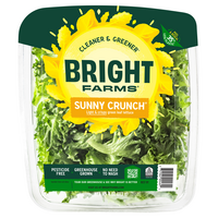 BrightFarms Sunny Crunch Lettuce