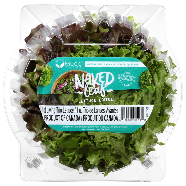 Mucci Farms Naked Leaf Living Trio Lettuce