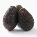 Jumbo Avocados