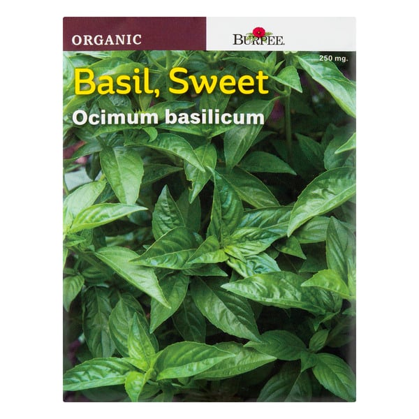 Burpee Annual Basil Sweet Ocimum Basilicum Organic
