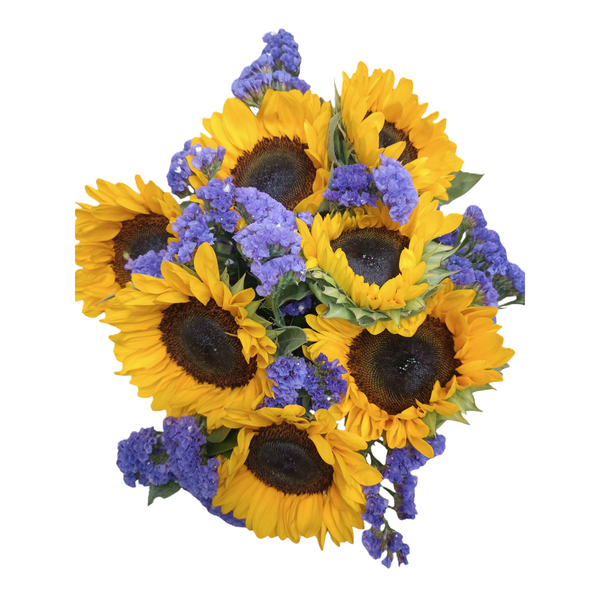 Brighter Days Bouquet (Colors May Vary)