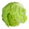 Organic Iceberg Lettuce