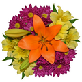 Our Brand Starter Bunch Bouquet