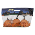 Sticker Me Pumpkin Kit