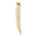 White Radishes (Daikon)