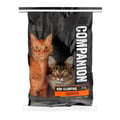 Companion Non-Clumping Scented Clay Multi-Cat Litter