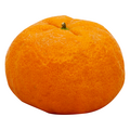Gold Nugget Mandarin Oranges