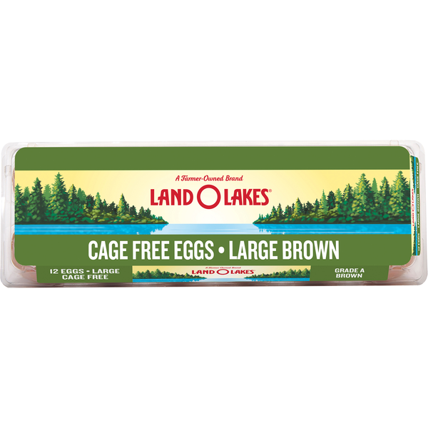 Land O Lakes Cage Free Large Brown Eggs