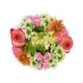 Giant Color Collection Calming Alstroemeria Supreme Bouquet