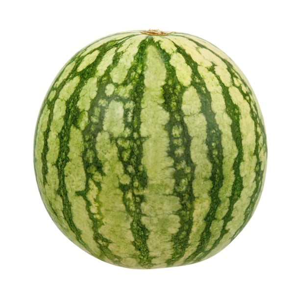 Seedless Bambino Watermelon