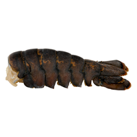 Stop & Shop Lobster Tail