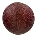 Passion Fruit