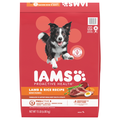IAMS Proactive Health Minichunks Lamb & Rice Adult Dry Dog Food