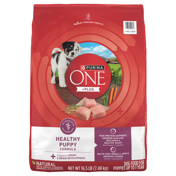 Purina ONE +Plus Healthy Puppy Formula Dry Food