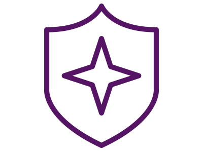 Icon of shield with star in center