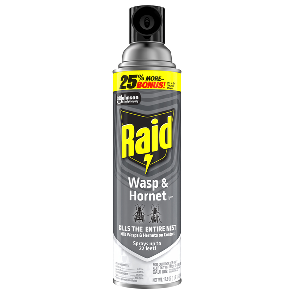 Raid Wasp & Hornet Spray