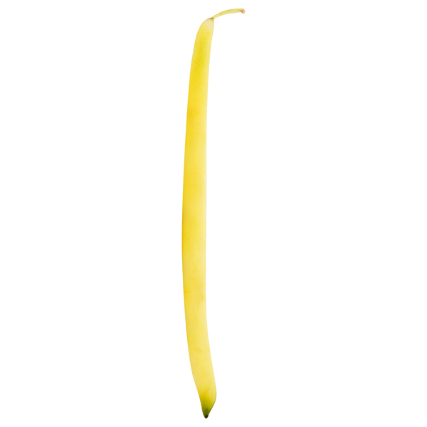 Yellow Wax Beans