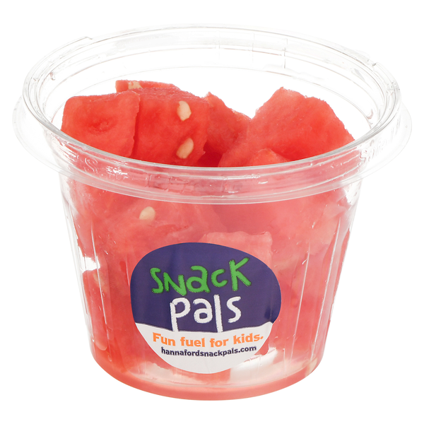Snack Pals Watermelon Cuts Cup