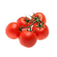 Organic Campari Tomatoes
