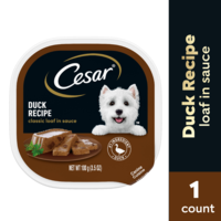 CESAR Classic Loaf in Sauce Duck Recipe Adult Wet Dog Food