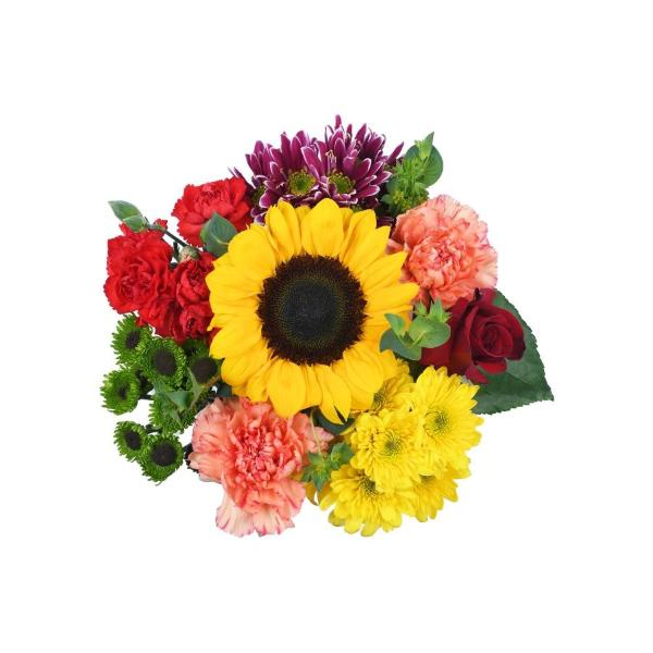 Does Food Lion Carry Flowers Best Flower Site