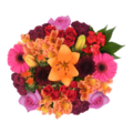 Giant Color Collection Transformative Gold Bouquet