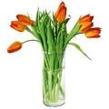 10 Stem Tulip Bouquet