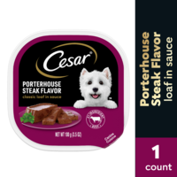CESAR Classic Loaf in Sauce Porterhouse Steak Flavor Adult Wet Dog Food