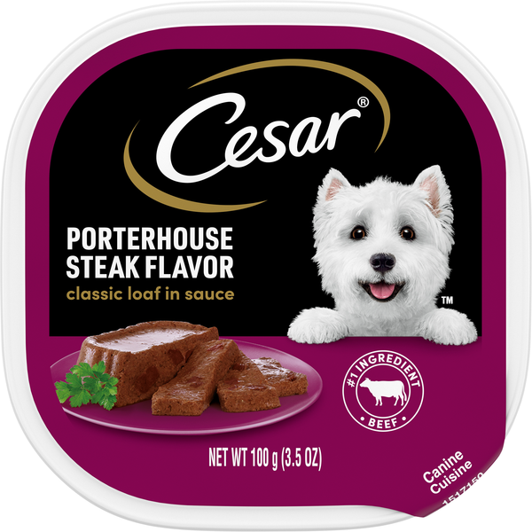 CESAR Classic Loaf in Sauce Porterhouse Steak Flavor Adult Wet Dog Food