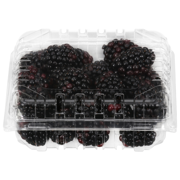 Organic Blackberries