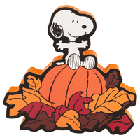 Peanuts Harvest Wall Sign Snoopy on Pumpkin