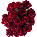 Spray Rose Bouquet