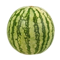 Seedless Bambino Watermelon