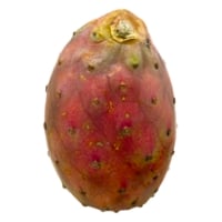 Andy Boy Cactus Pear