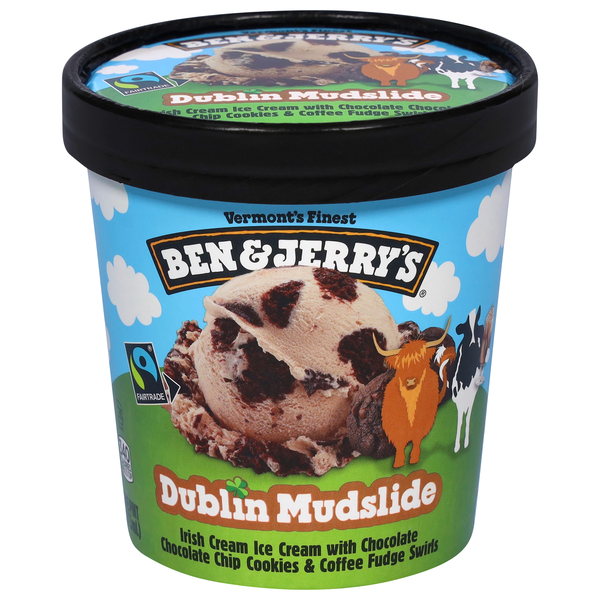Ben & Jerry's Dublin Mudslide Ice Cream