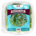 Springworks Boston Bibb Lettuce