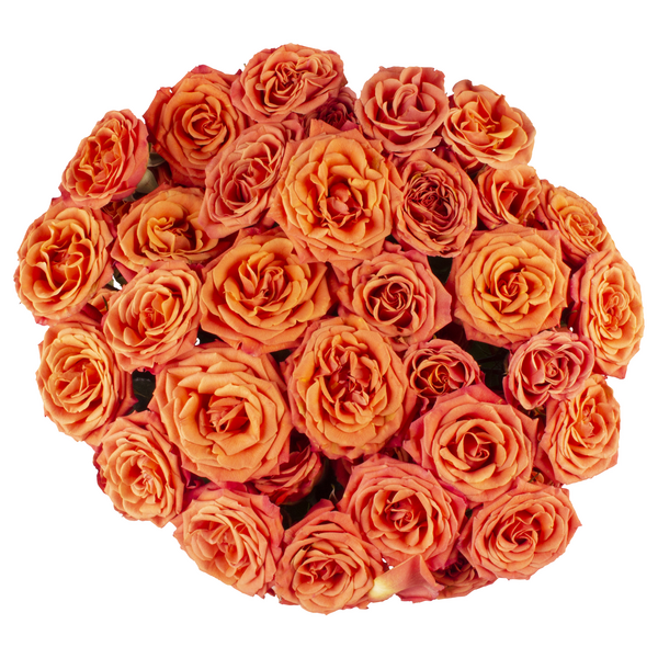Orange Spray Roses