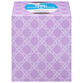 Giant Soft & Gentle Unscented 2-Ply Facial Tissue Cube Box