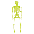 Fun World Halloween Decor Skeleton Yellow