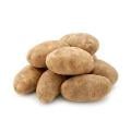 Idaho Russet Potatoes Bag