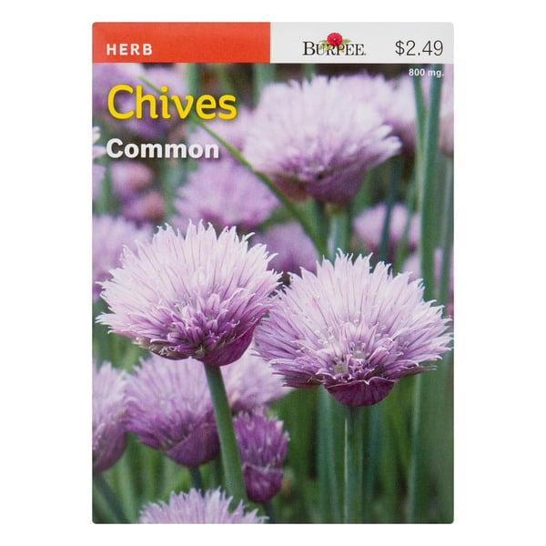 Burpee Herb Chives Common