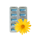 Allergy & Sinus