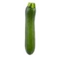 Local Zucchini Squash