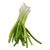 Green Onions (Scallions) Organic