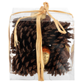 Smart Living Harvest Decor Pinecones in Jar