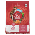 Purina ONE +Plus Skin & Coat Natural Salmon Adult Dry Dog Food