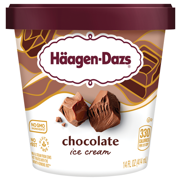 Haagen-Dazs Chocolate Ice Cream
