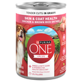 Purina ONE +Plus Skin & Coat Health Chicken/Brown Rice Adult Wet Dog Food
